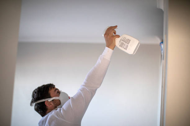 Best Commercial Mold Removal  in Ben Avon, SC