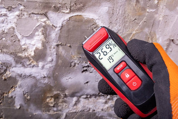 Best Attic Mold Removal  in Ben Avon, SC